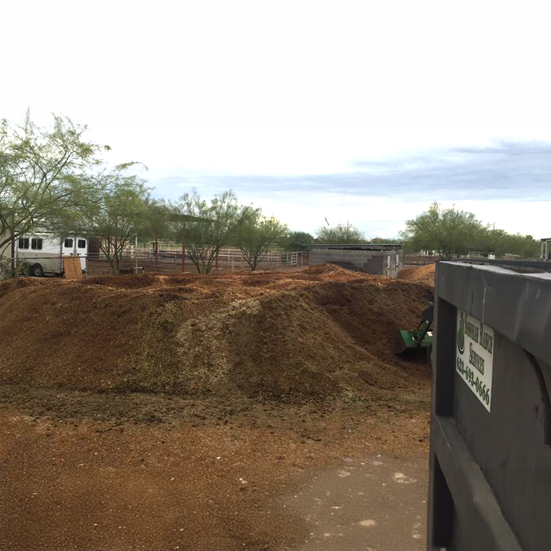 Manure Cleanup & Disposal
